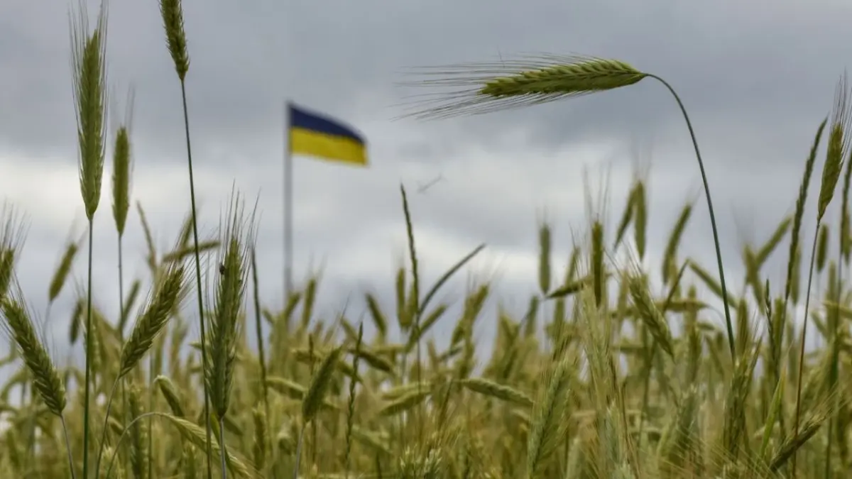 Agricultores españoles piden al Gobierno limitar la importación de cereal de Ucrania