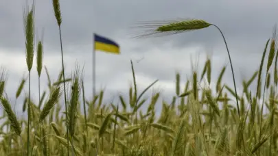 Agricultores españoles piden al Gobierno limitar la importación de cereal de Ucrania