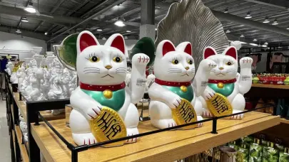 Federaci&oacute;n Dominicana de Comerciantes califica de "competencia desleal" la evasi&oacute;n de impuestos por parte de empresas chinas