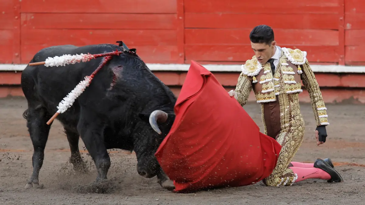 Activistas piden al papa León XIV que rompa lazos con las corridas de toros