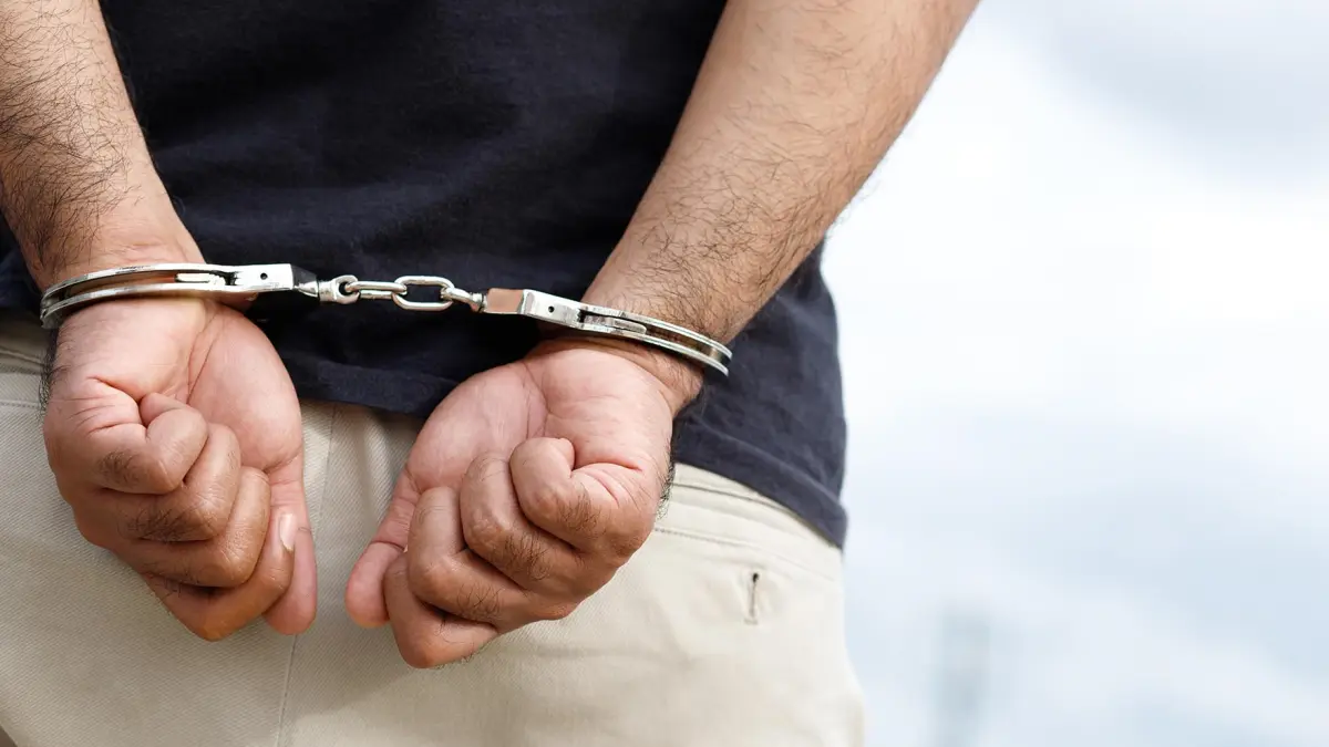 Detienen en aeropuerto colombiano a extranjeros con 6 primates ocultos en partes íntimas