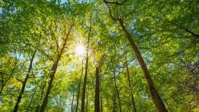 Indomet pronostica condiciones de buen tiempo y aguaceros en varias provincias