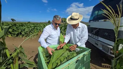 Tabaco dominicano llega a 148 países, según Intabaco