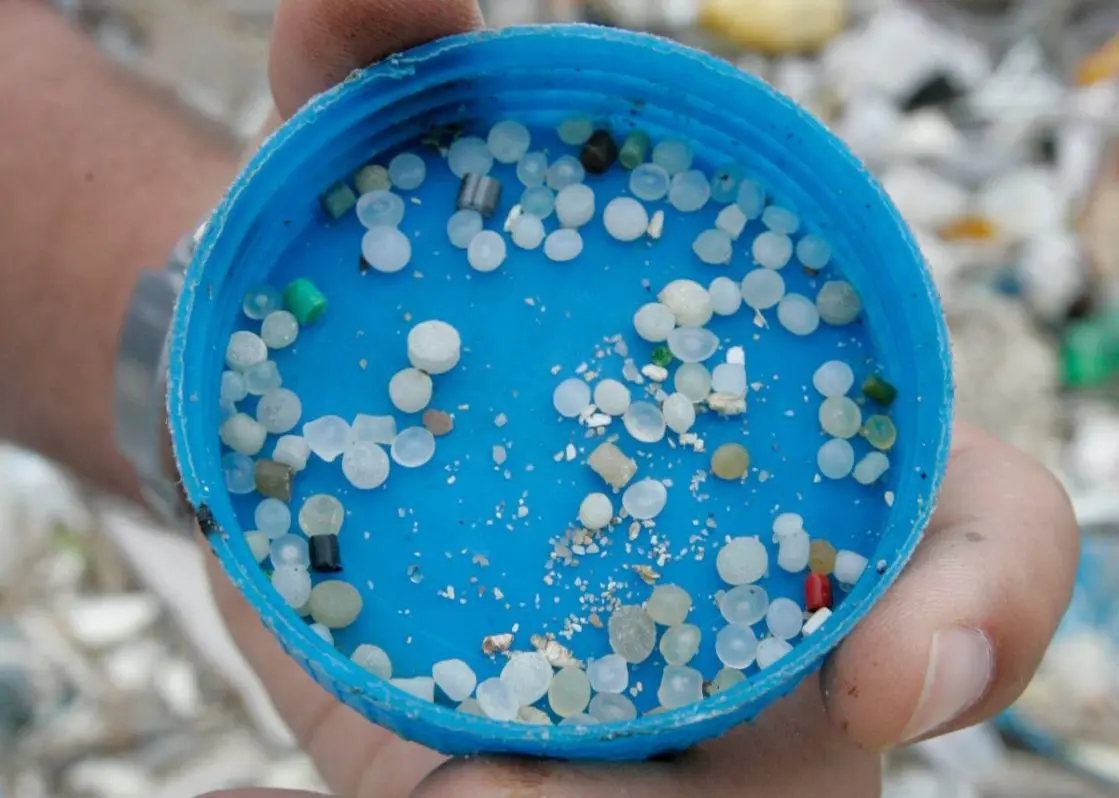 Los microplásticos inhalados inhabilitan a las células del sistema inmunitario pulmonar