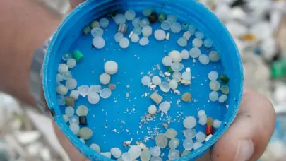 Los microplásticos inhalados inhabilitan a las células del sistema inmunitario pulmonar