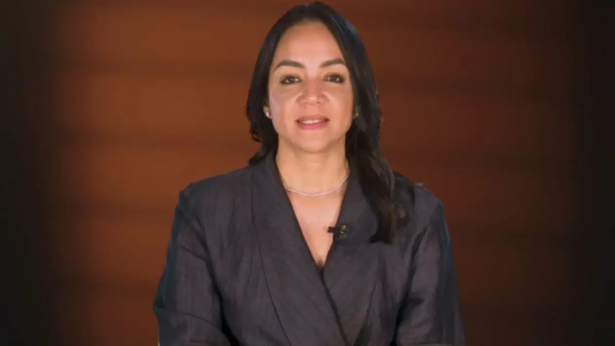 Políticos del PRM respaldan a Faride Raful tras denuncia de descrédito digital