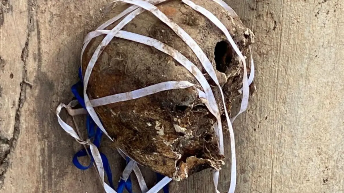 Hallan cráneo humano cerca de santuario en Bayaguana