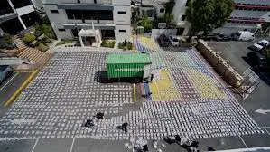 DNCD ratifica que cargamento de marihuana incautado en Haina procedía de Guatemala