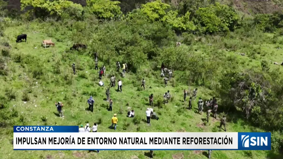 Instituciones se unen para reforestar y proteger las fuentes hídricas de Constanza