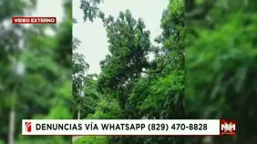Vecinos de Praderas de San Felipe alertan sobre peligro de incendios por cables de alta tensión