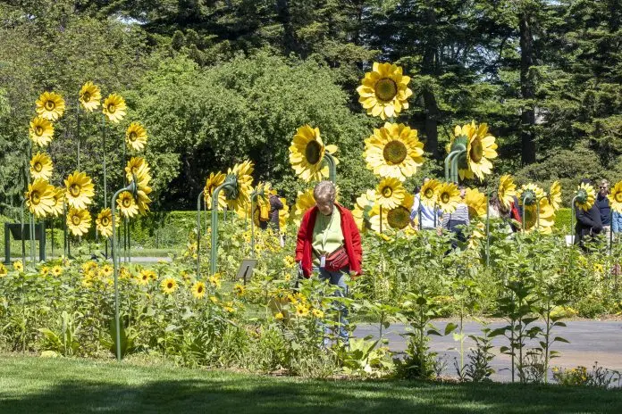 Lirios, rosas y girasoles de Van Gogh llenan de color el Jardín Botánico de Nueva York