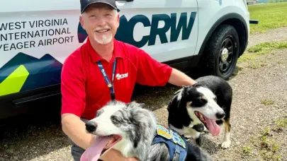 Hércules y Ned: dos perros salvan vidas en un aeropuerto de EE. UU.