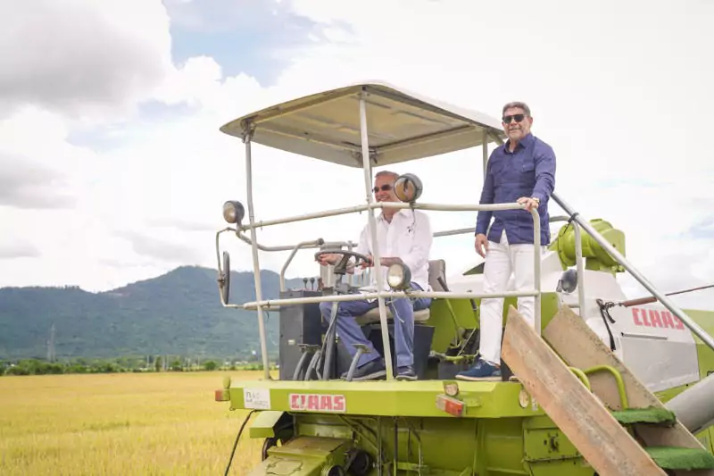 Dejan iniciada cosecha de arroz 2025 en estación de Juma, Bonao