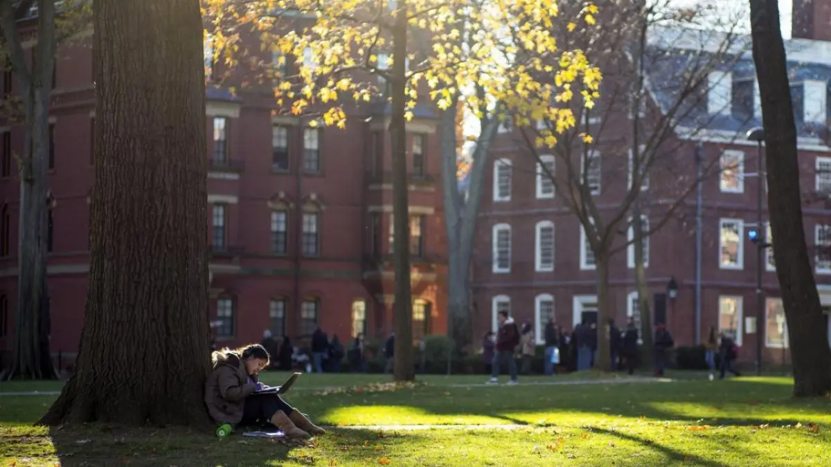 ONU: Se está intentando limitar el debate en varias universidades de Estados Unidos