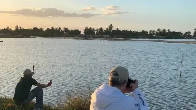 El Día Mundial de las Aves Migratorias se celebra este 10 de mayo