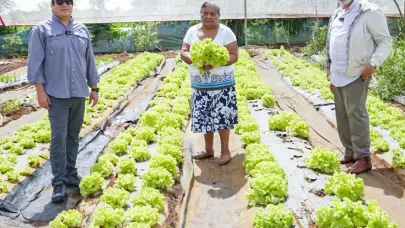 Desarrollo de la Comunidad y FAO buscan relanzar proyectos agroalimentarios
