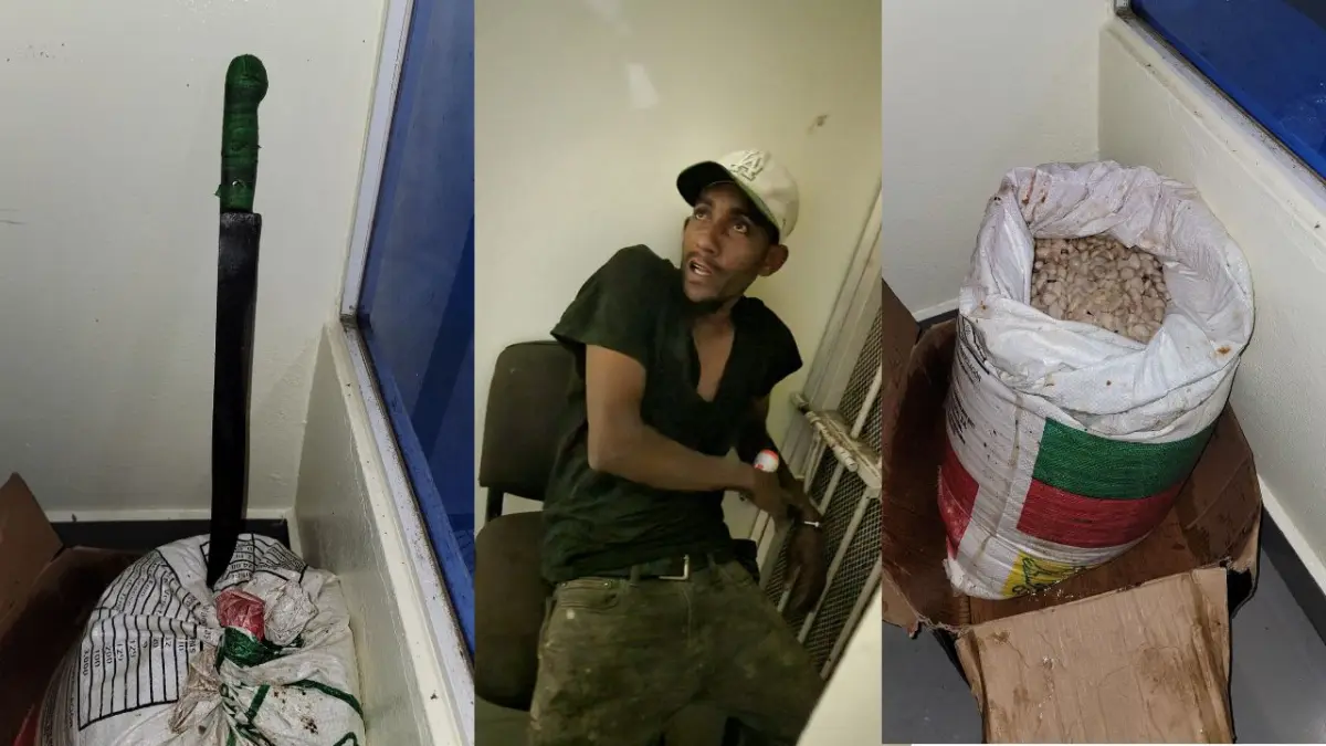 Policía Nacional apresa hombre en flagrante delito y recupera cacao robado en Villa Trina