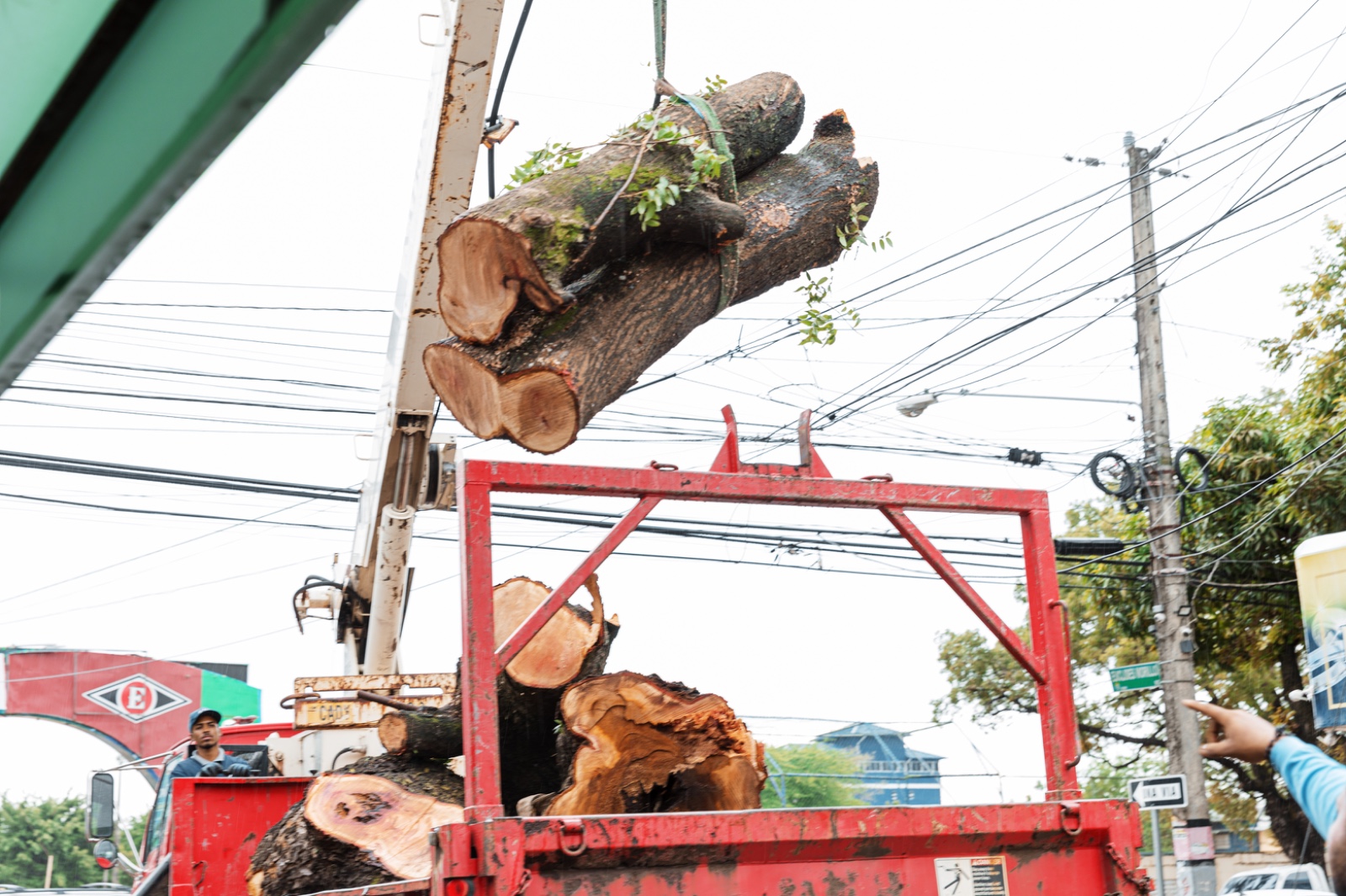 Carga de troncos en camión con grúa