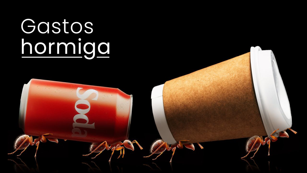 Hormigas cargan lata y vaso desechable