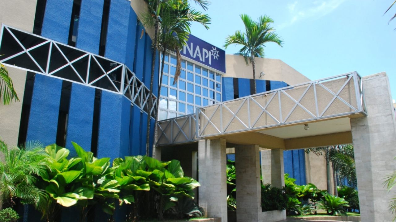 Fachada moderna con palmeras y plantas verdes