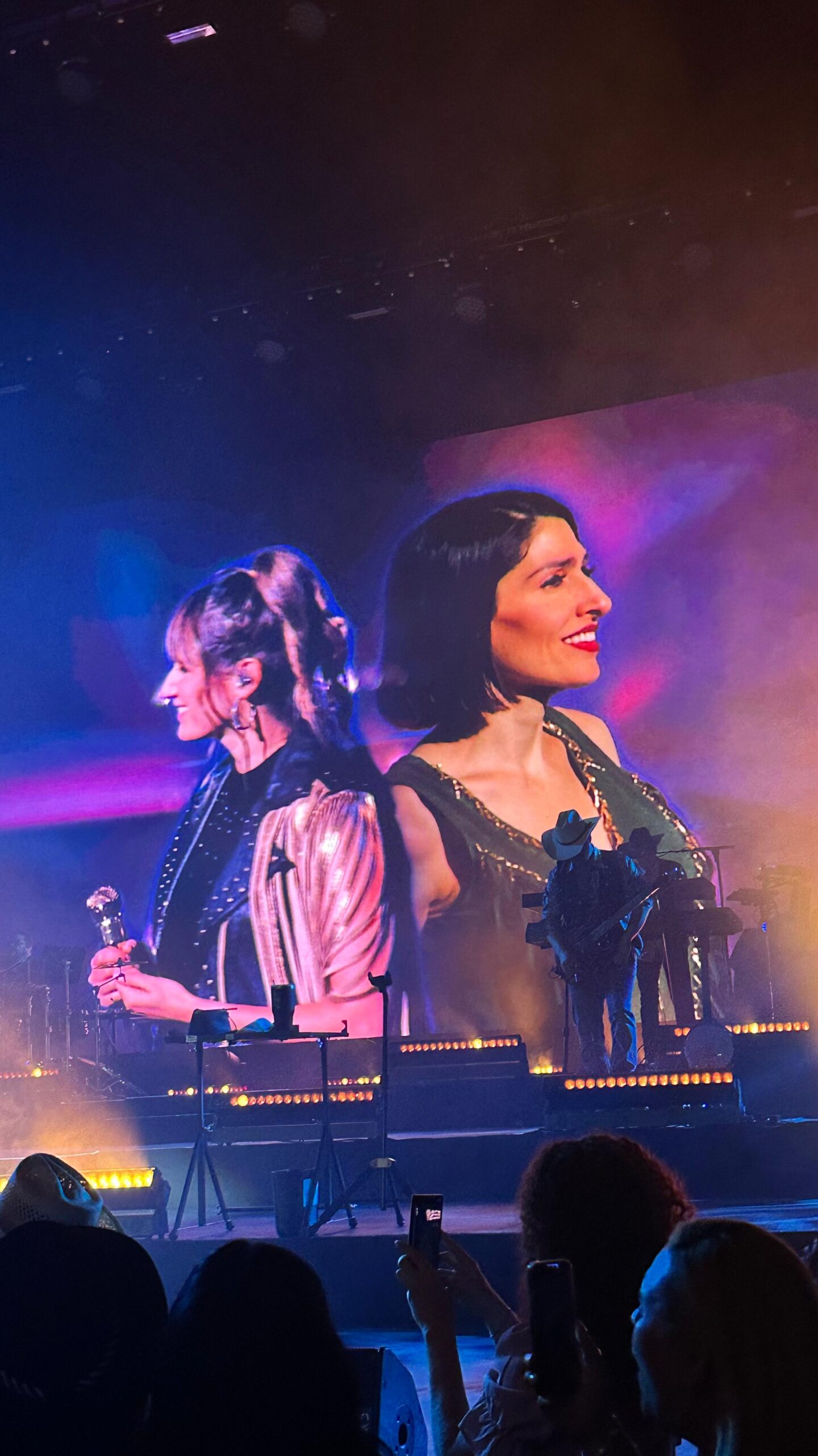 Concierto en vivo con proyección en pantalla grande.