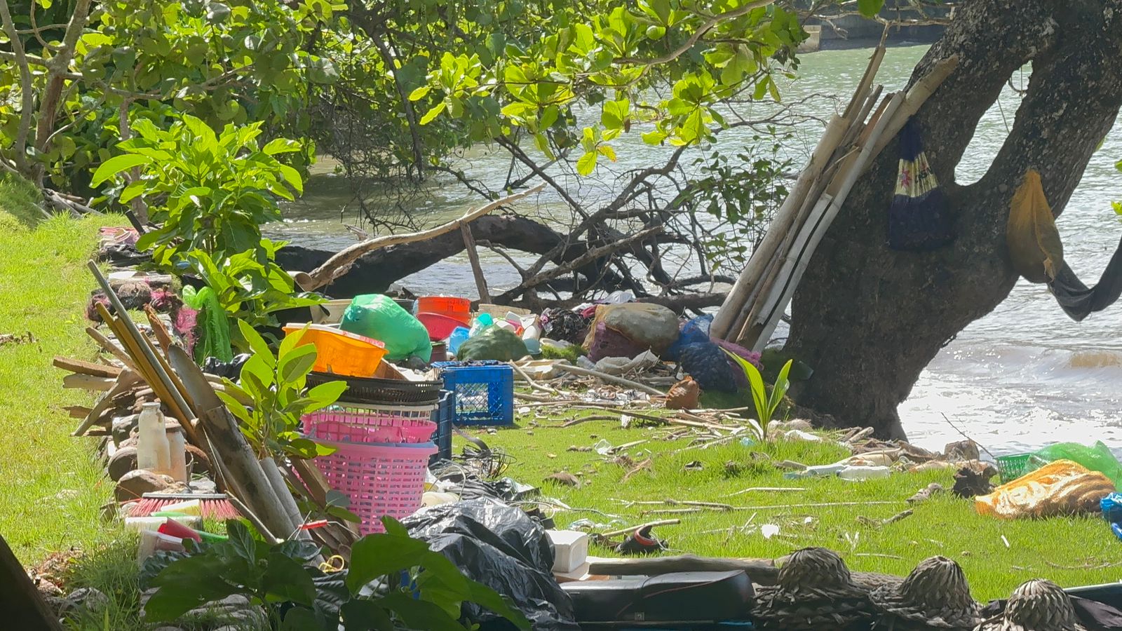 Ribera con basura entre árboles y agua