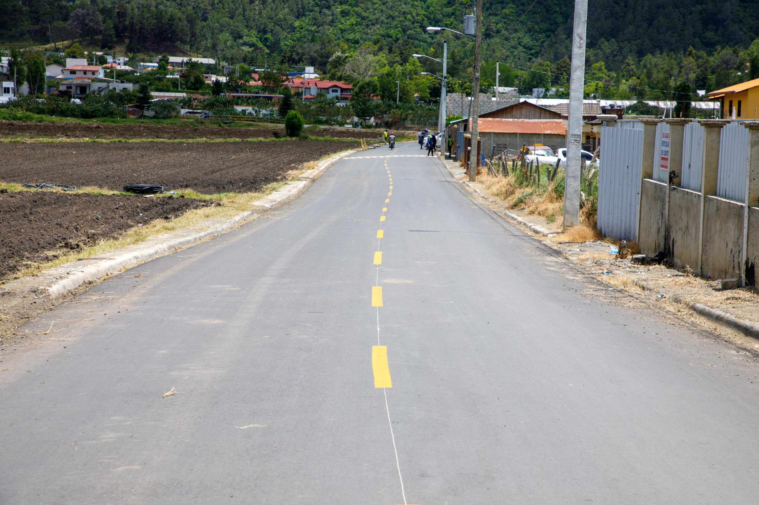 Carretera asfaltada rural con casas y bosque