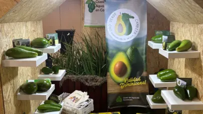 RD impulsa ‘Oro Verde Cambita’ como primera denominación de origen de aguacate en América