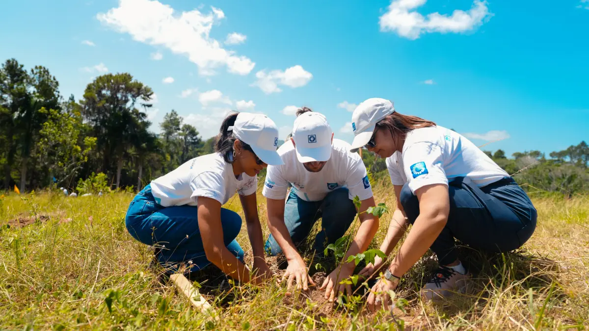 Empleados voluntarios del Grupo Popular siembran 3,000 árboles en el Plan Sierra