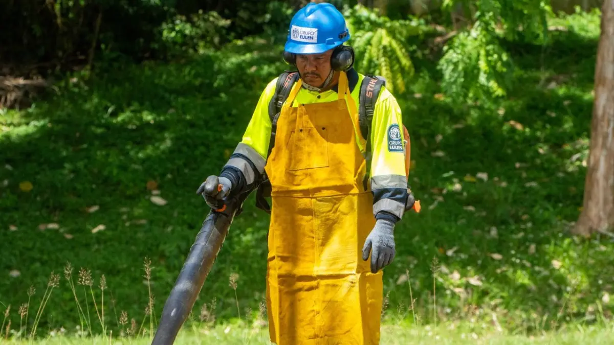Gestión preventiva de áreas verdes reduce riesgos y protege infraestructuras ante temporada ciclónica