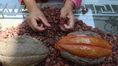 Cacao, el nuevo oro de la economía de Ecuador