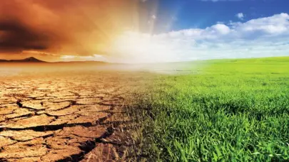 Cambio climático baja el rendimiento mundial de los cultivos, incluso con adaptaciones