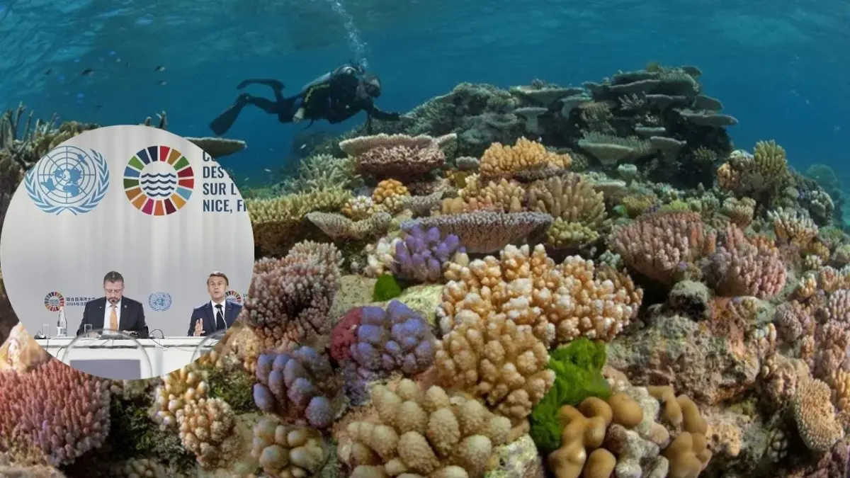 Colombia anuncia en la Cumbre del Océano la creación de nueva reserva marina en el Caribe