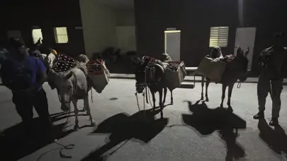 Abandonan contrabando de bebidas alcoh&oacute;licas que era transportado en burros en San Juan de la Maguana