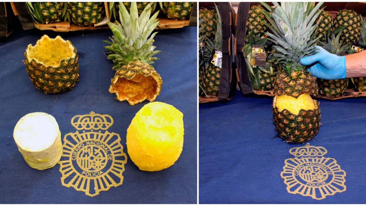 Cae una red que traficaba cocaína a Europa desde Costa Rica en contenedores de fruta