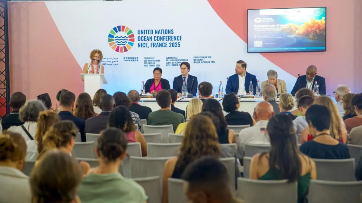 RD refuerza liderazgo regional ante crisis del sargazo en conferencia de la ONU