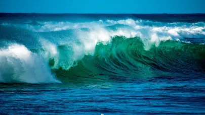 Día Mundial de los Océanos, fecha dedicada a reconocer la mayor maravilla de la naturaleza