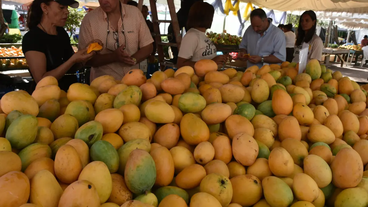 Baní celebra Expo Mango 2025: feria está dedicada este año al ministro de Agricultura, Limber Cruz