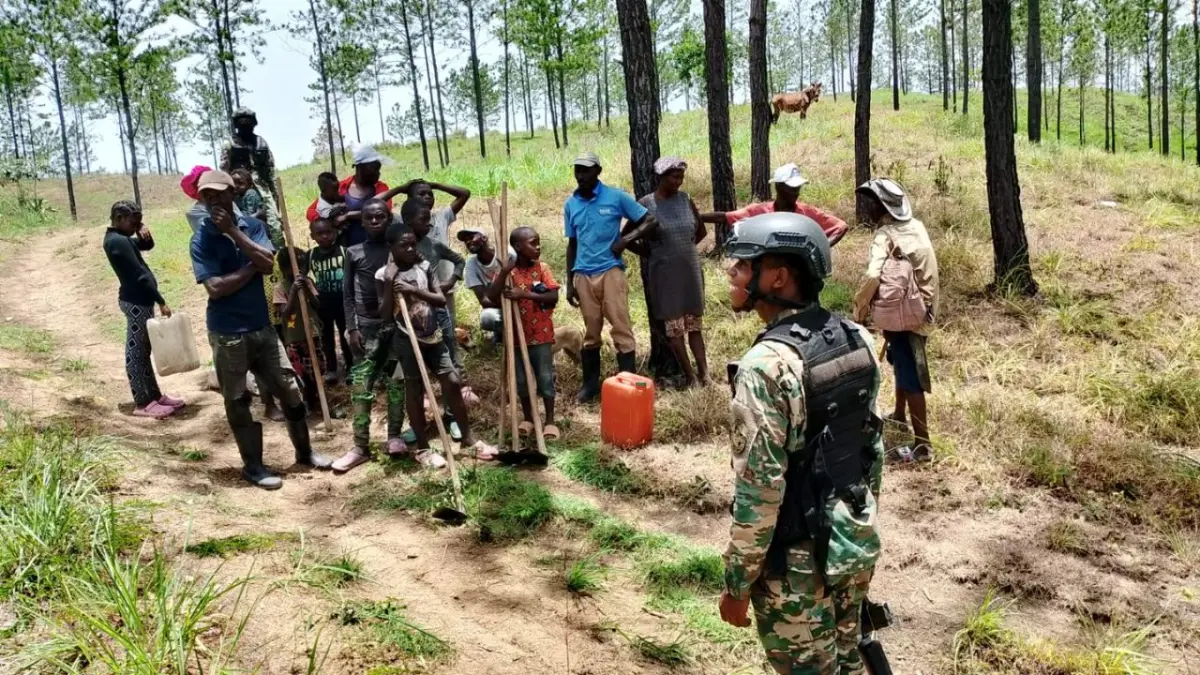 Ejército detiene haitianos indocumentados por depredación al medio ambiente en Dajabón