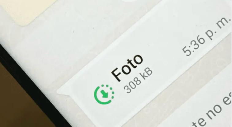 Pantalla de descarga de foto en WhatsApp