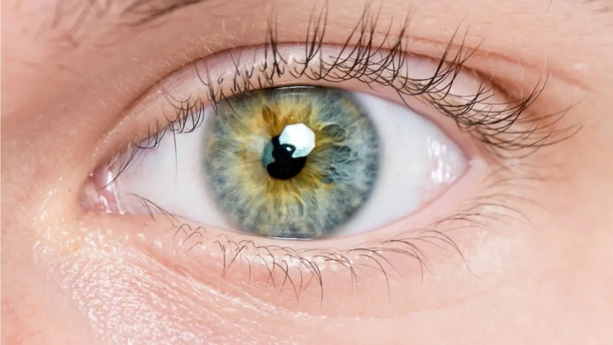 Hong Kong emplea la IA para predecir el riesgo de alzhéimer a través de las retinas