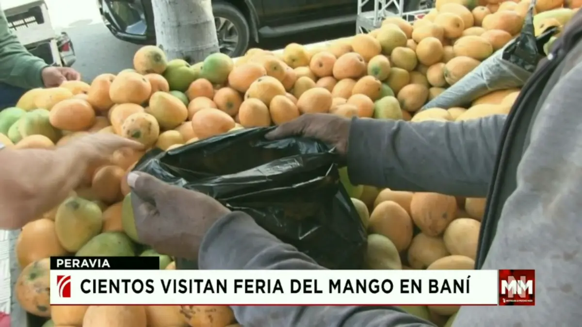 Cientos se dan cita para disfrutar de las bondades del mango, en la feria que se celebra en Baní