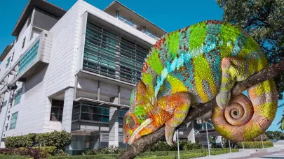 ¿Qué es la Operación Camaleón?