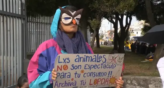 Victoria para los animalistas: rechazan ley que permitía espectáculos con animales en ecuador