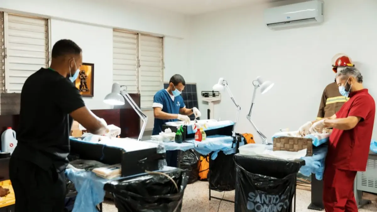 Alcaldía del Distrito Nacional continúa jornada de bienestar para perros y gatos