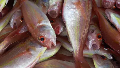 Comer más pescado: una misión que pasa por derribar mitos y precios en América Latina