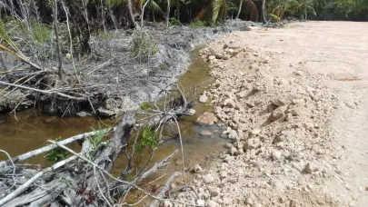 Detienen construcción de proyecto The Reef en Samaná por daño ambiental