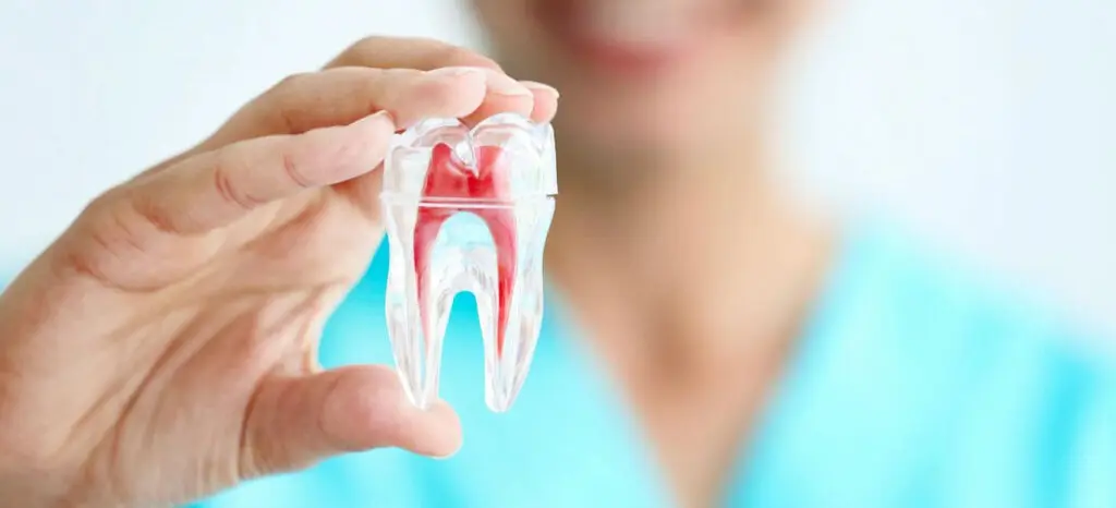 GEO Dental Expo 2025, el encuentro educativo de alto nivel para la salud dental