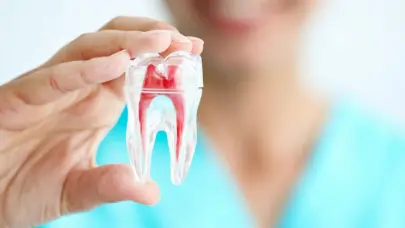 GEO Dental Expo 2025, el encuentro educativo de alto nivel para la salud dental