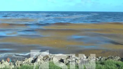 Polvo de Sahara y sargazo amenazan el turismo en Rep&uacute;blica Dominicana